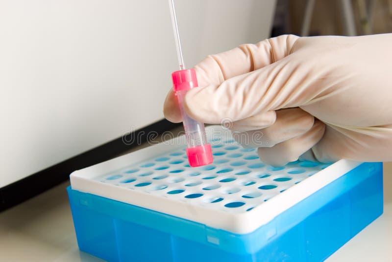 Test tube holder stock image