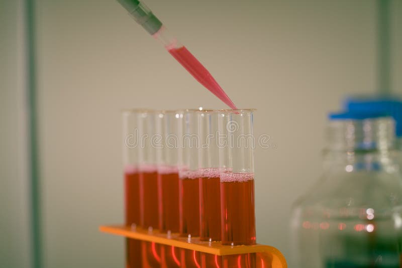 Test Tube in Rack and Pipette Media Dispenser Stock Image Image of