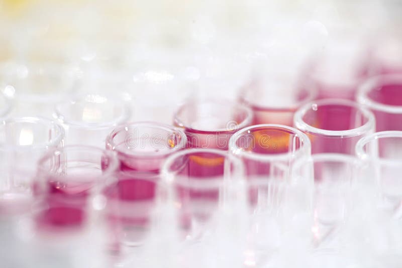 Test Tubes royalty free stock image