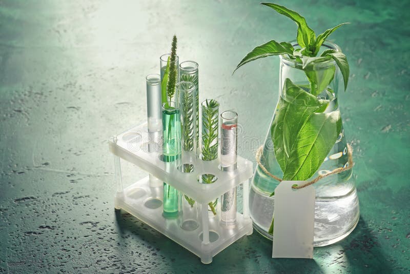 Test tubes and flask with plants on color table stock image