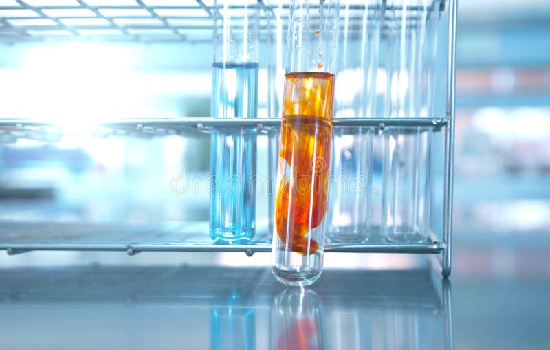 Test Tubes with Orange Solution in Metal Rack in Lab Science Stock