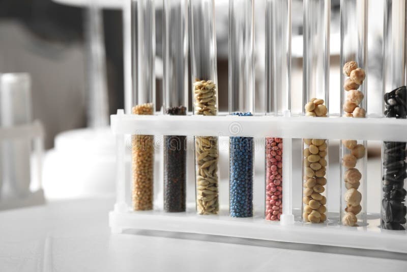Test Tubes with Seeds Samples on Stone Table Stock Photo Image of