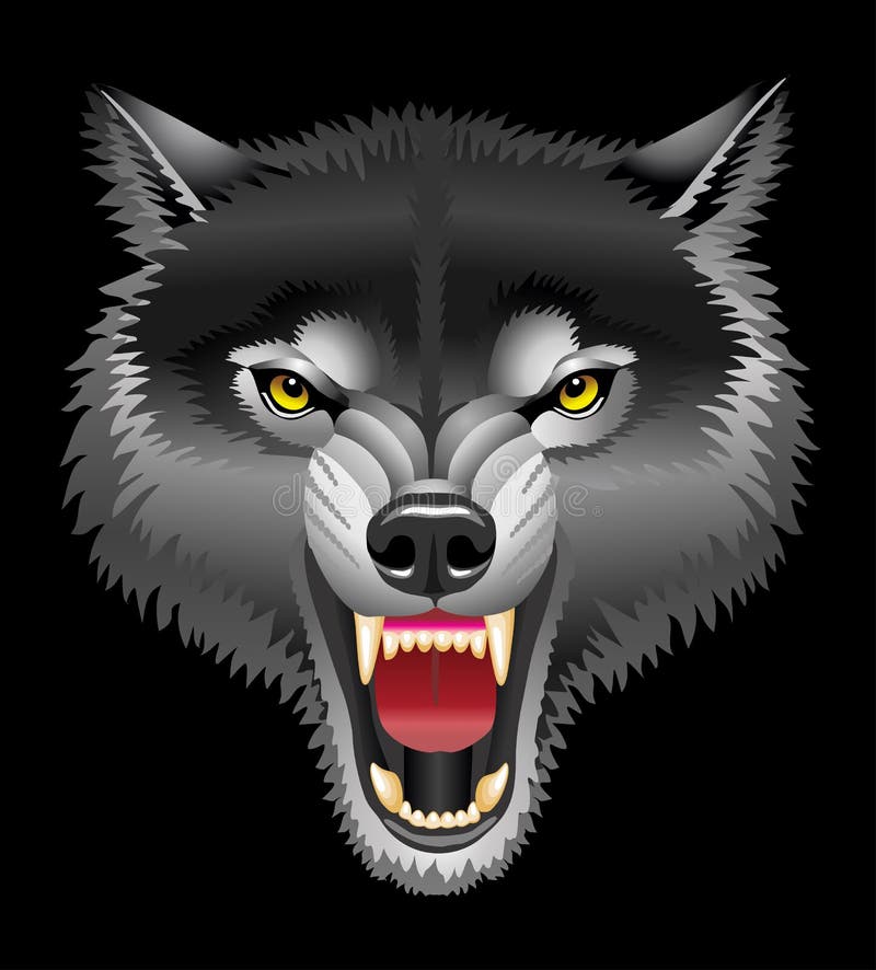 Illustration of the vector image of the head of a wolf with an oskalenny mouth. Illustration of the vector image of the head of a wolf with an oskalenny mouth