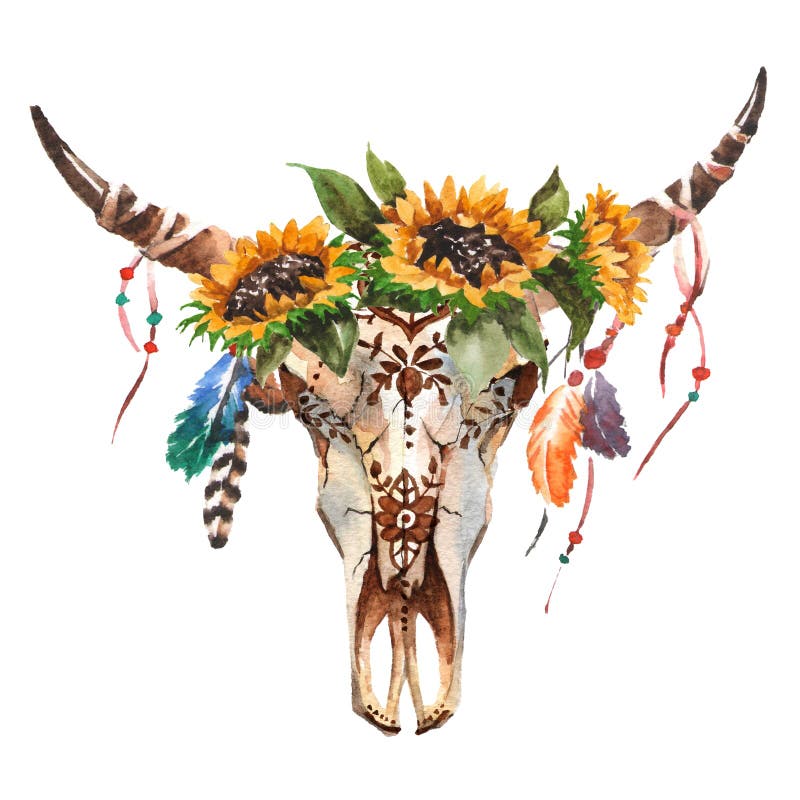 Testa del ` s del toro isolata acquerello con i fiori e le piume su fondo bianco Stile di Boho Cranio per lo spostamento, carta d illustrazione di stock Testa del ` s del toro isolata acquerello con i fiori e le piume su fondo bianco Stile di Boho Cranio per lo spostamento, carta d illustrazione di stock