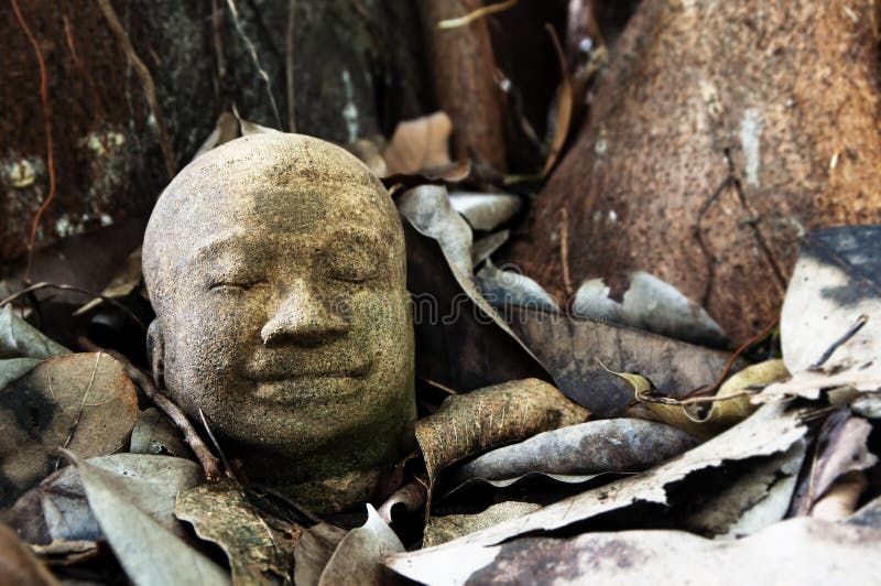 Testa di pietra di Buddha sulle vecchie foglie immagini stock libere da diritti