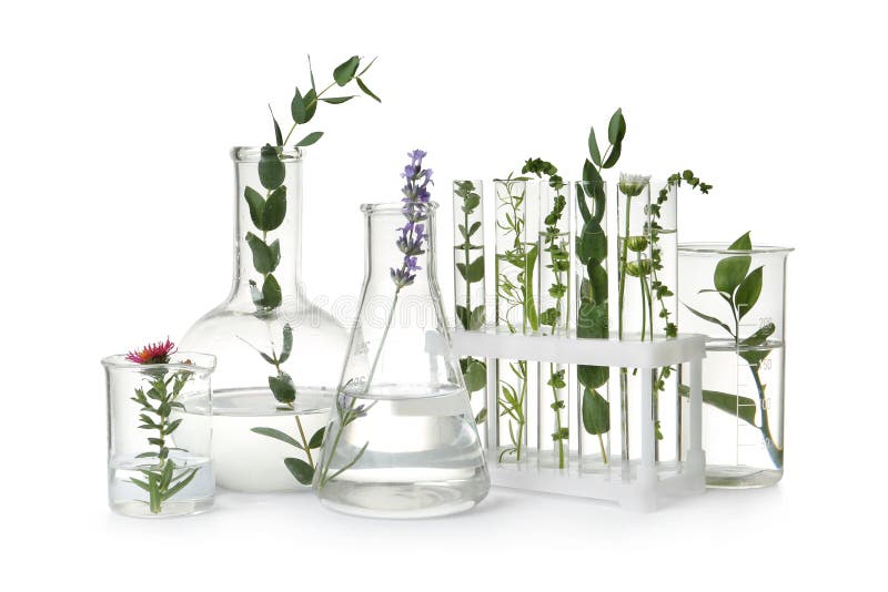 Testbuizen en ander laboratoriumglaswerk met planten op witte achtergrond