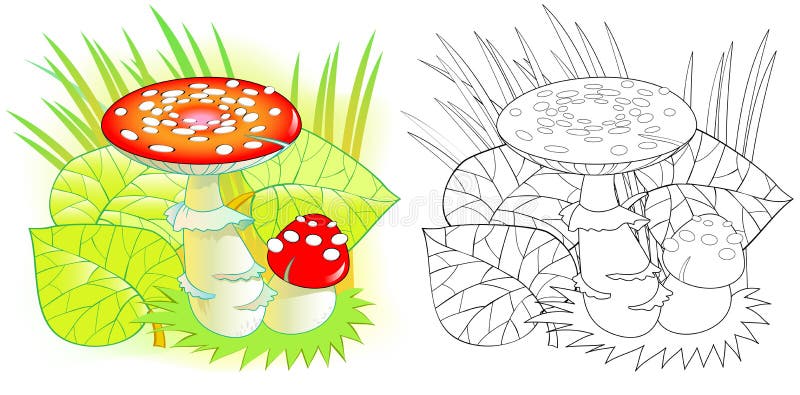 Desenhos de cogumelos para imprimir e colorir - O Mundo Das Crianças