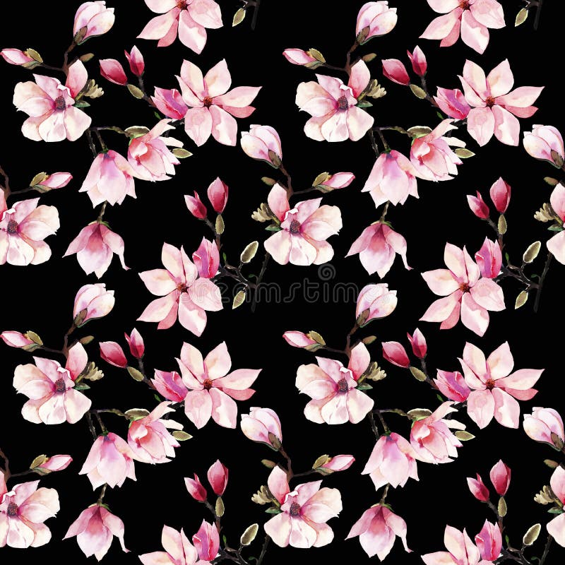 Peão Japonês Rosa Isolado Em Fundo Branco. Lindo Flor Florescente Com Caule  E Folhas. Florescente Oriental Ilustração do Vetor - Ilustração de haste,  encantador: 200860641