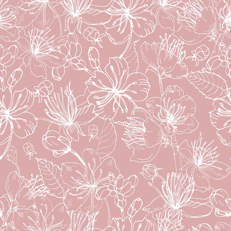 Peão Japonês Rosa Isolado Em Fundo Branco. Lindo Flor Florescente Com Caule  E Folhas. Florescente Oriental Ilustração do Vetor - Ilustração de haste,  encantador: 200860641