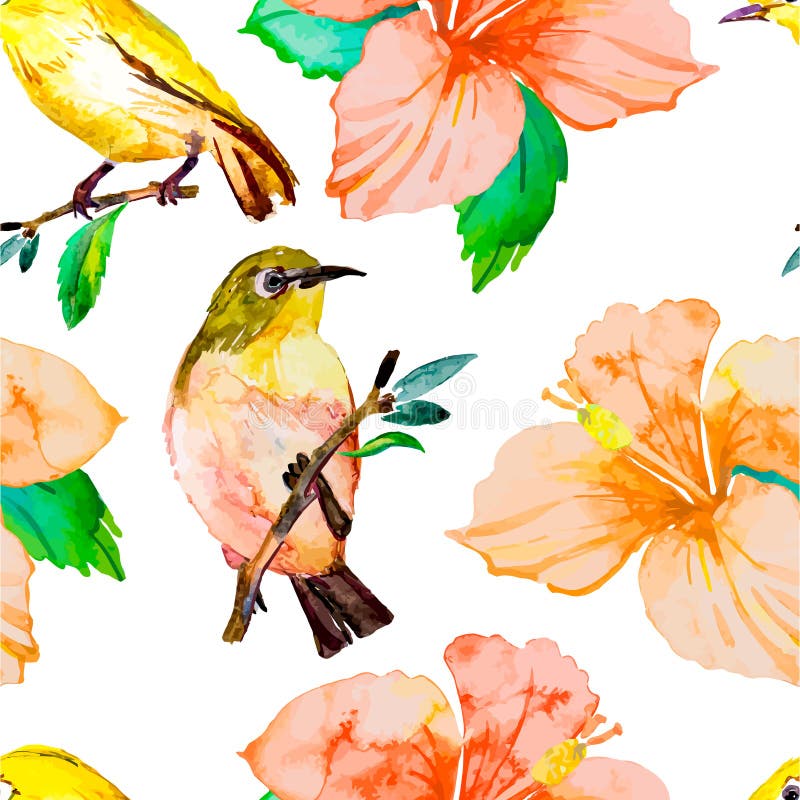 Teste padrão da aquarela Pássaros e flores tropicais ilustração do vetor Teste padrão da aquarela Pássaros e flores tropicais ilustração do vetor