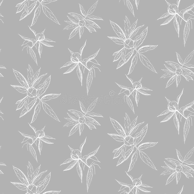 teste padrão de flor sem emenda da peônia da tinta no contexto cinzento Papel de parede gravado da peônia do vintage linha branca ilustração royalty free teste padrão de flor sem emenda da peônia da tinta no contexto cinzento Papel de parede gravado da peônia do vintage linha branca ilustração royalty free