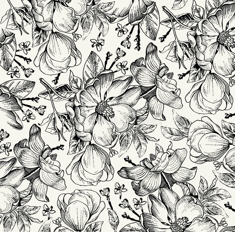 Teste padrão de flores isolado realístico Fundo barroco do vintage Dogrose de Rosa, rosehip, urze wallpaper Gravura do desenho
