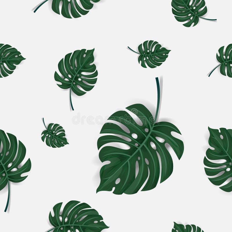 Teste padrão de sem emenda verde das folhas de palmeira isolado no fundo branco, vetor ilustração royalty free Teste padrão de sem emenda verde das folhas de palmeira isolado no fundo branco, vetor ilustração royalty free