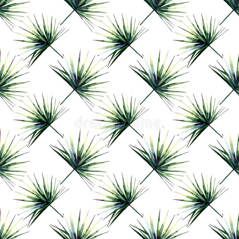Teste padrão diagonal do verão erval floral maravilhoso tropical verde-claro bonito de Havaí de uma aquarela das palmas ilustração do vetor Teste padrão diagonal do verão erval floral maravilhoso tropical verde-claro bonito de Havaí de uma aquarela das palmas ilustração do vetor