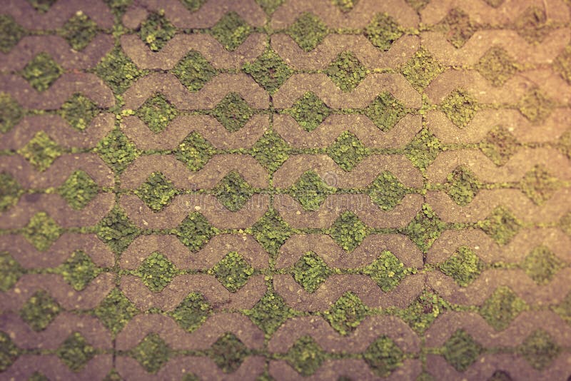 Teste padrão do bloco do cimento com assoalho da grama imagem de stock