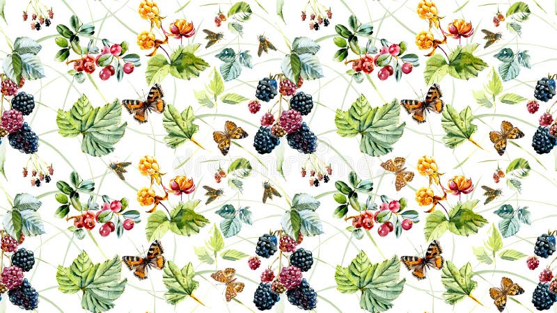 Teste padrão sem emenda com bagas e os insetos selvagens Ilustração pintado à mão da aquarela ilustração do vetor Teste padrão sem emenda com bagas e os insetos selvagens Ilustração pintado à mão da aquarela ilustração do vetor