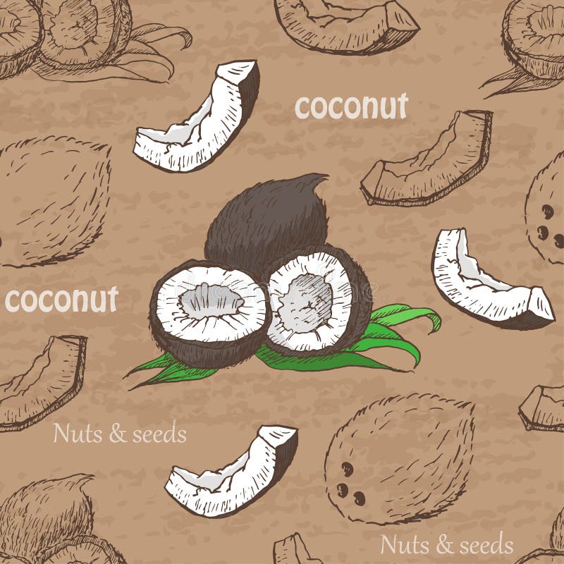 Teste padrão sem emenda com cocos em um fundo do vintage ilustração royalty free Teste padrão sem emenda com cocos em um fundo do vintage ilustração royalty free