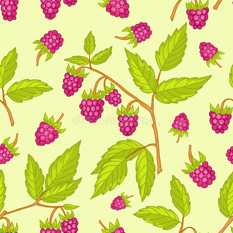 Teste padrão sem emenda das framboesas. ilustração royalty free Teste padrão sem emenda das framboesas. ilustração royalty free