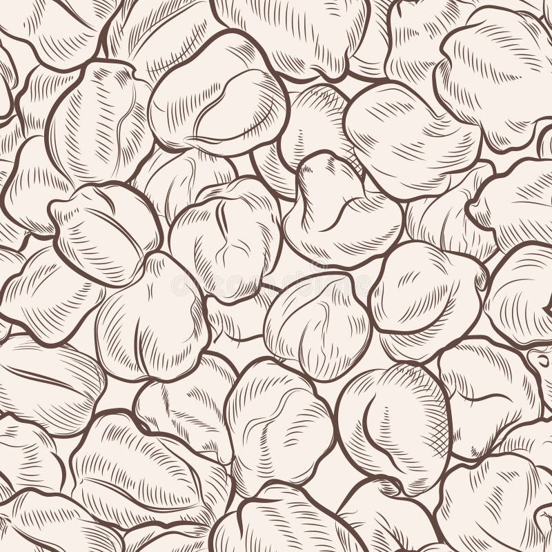 Teste padrão sem emenda do esboço do grão-de-bico ilustração royalty free Teste padrão sem emenda do esboço do grão-de-bico ilustração royalty free