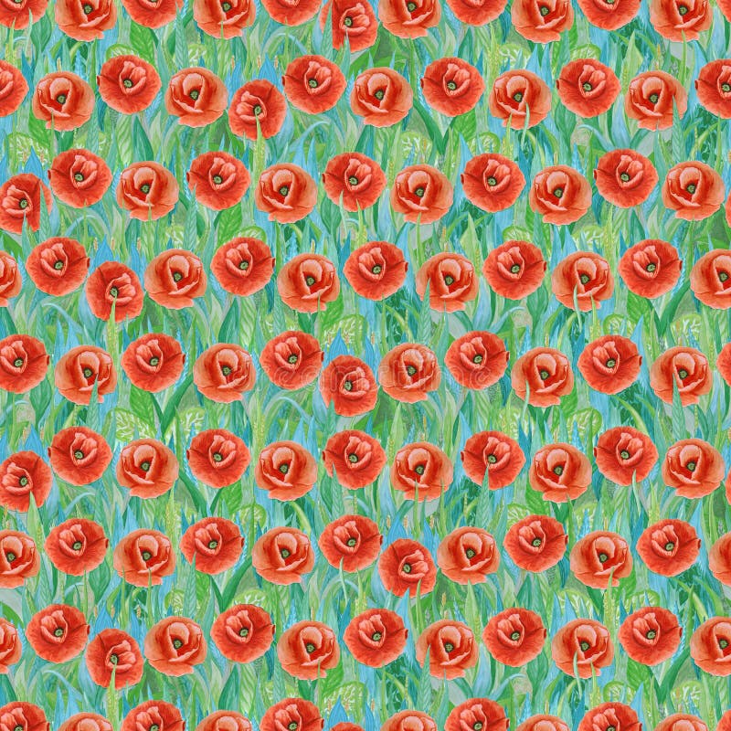 Teste padrão sem emenda do verão de papoilas vermelhas na grama Fundo colorido sob a forma de uma clareira da flor ilustração royalty free Teste padrão sem emenda do verão de papoilas vermelhas na grama Fundo colorido sob a forma de uma clareira da flor ilustração royalty free