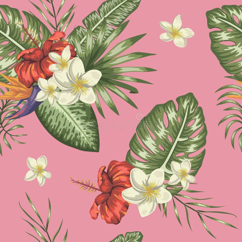 Teste padrão sem emenda do vetor das folhas tropicais verdes com plumeria e das flores do hibiscus no fundo cor-de-rosa ilustração do vetor Teste padrão sem emenda do vetor das folhas tropicais verdes com plumeria e das flores do hibiscus no fundo cor-de-rosa ilustração do vetor