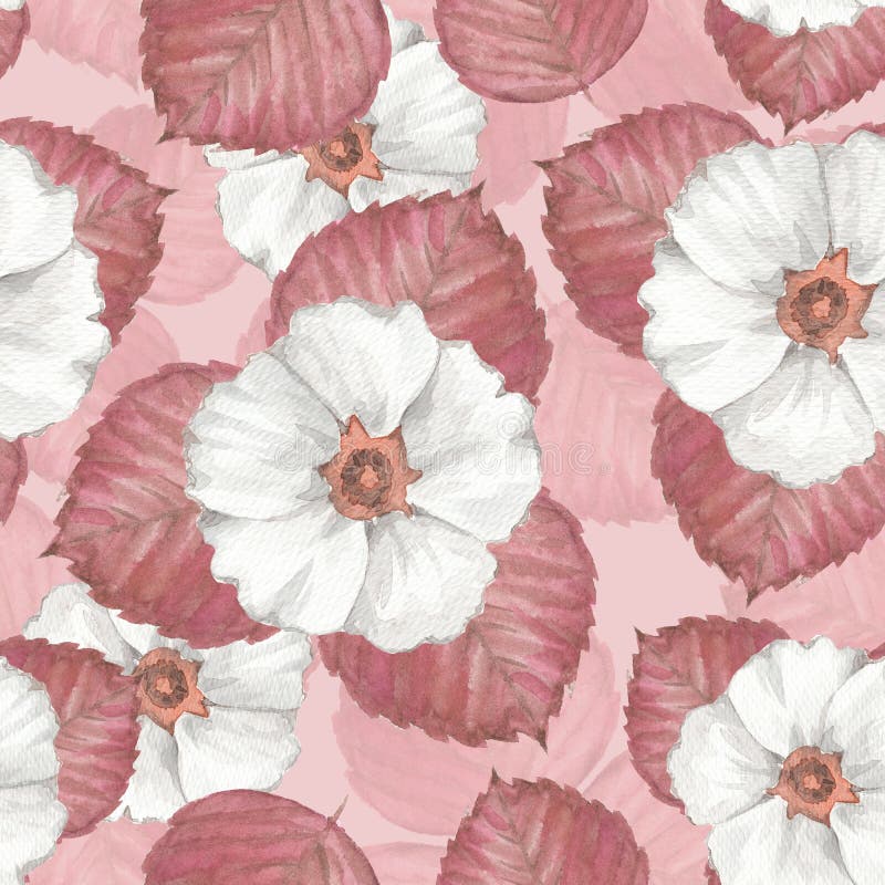 Teste padrão sem emenda floral delicado com flores brancas. Teste padrão sem emenda floral delicado Fundo da aquarela com flores brancas