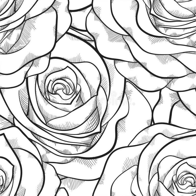 Teste padrão sem emenda preto e branco bonito nas rosas com contornos ilustração royalty free Teste padrão sem emenda preto e branco bonito nas rosas com contornos ilustração royalty free