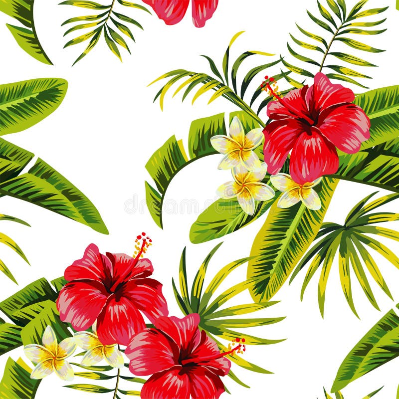 Teste padrão tropical das flores e das plantas ilustração do vetor Teste padrão tropical das flores e das plantas ilustração do vetor