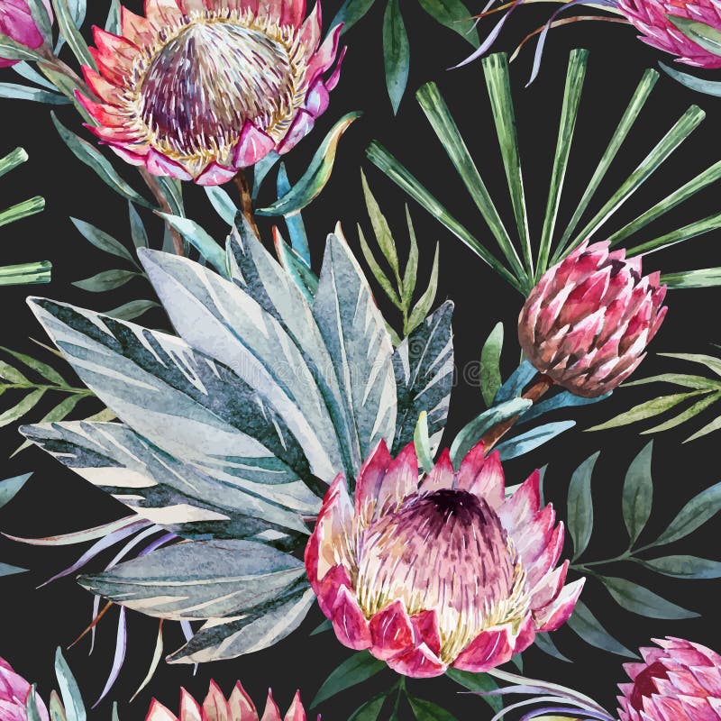 Teste padrão tropical do protea do vetor ilustração stock Teste padrão tropical do protea do vetor ilustração stock
