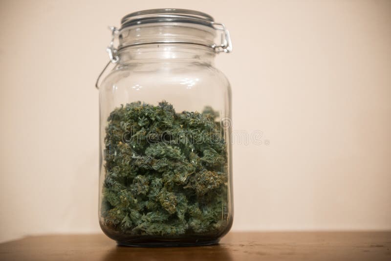 Teste sativa della marijuana della cannabis nel deposito fotografie stock libere da diritti Teste sativa della marijuana della cannabis nel deposito fotografie stock libere da diritti