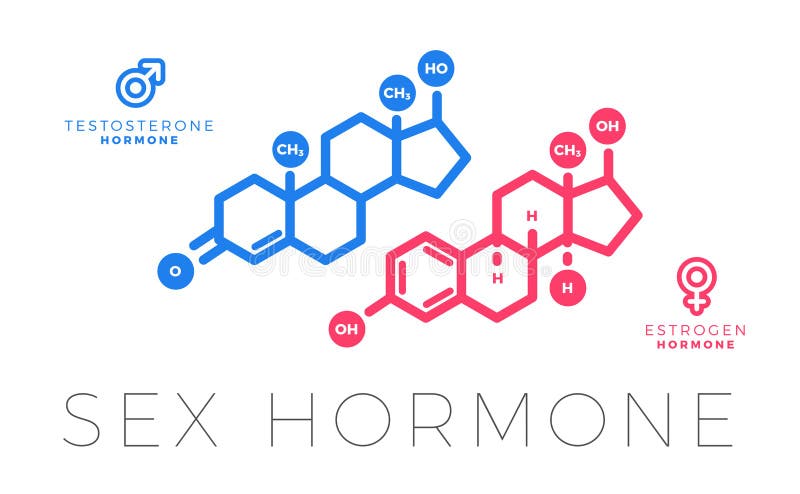 Testosterona y Estrogen, molécula de hormona sexual Ilustración de vectores aislados