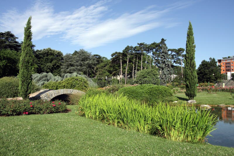 tete d de la parc стоковые изображения rf tete d de la parc стоковые изображения rf
