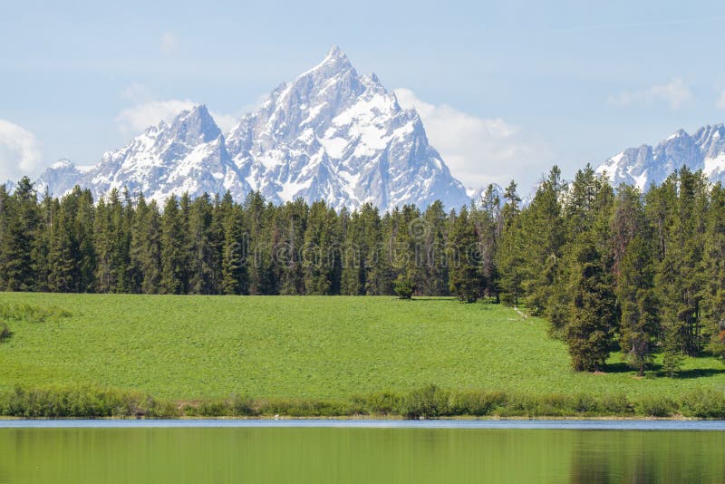 Tetons Grassy Hill Still Water Stock Photo Image of green, rockies