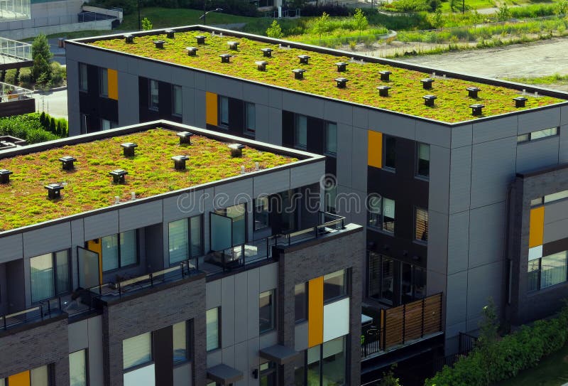 Modern building with ecological green roof. Modern building with ecological green roof.