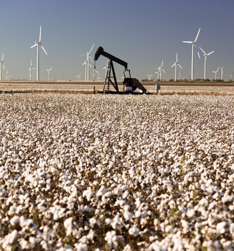 Texas Cotton Filed Textile Agriculture Oil Industry PumpJack