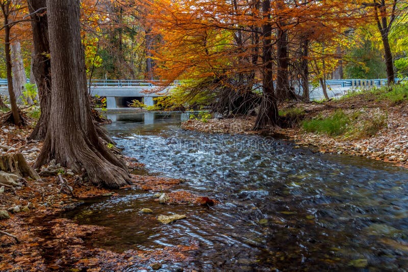 Texas Foliage Bursting with Color Surrounding a Cr