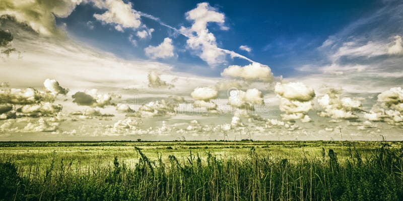 Landscape of coastal salt marsh near High Island, Texas. Landscape of coastal salt marsh near High Island, Texas.