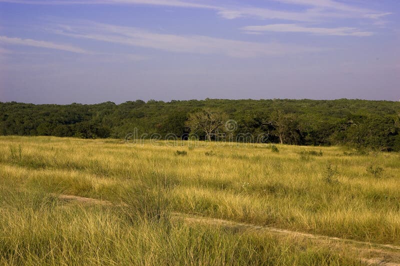 Texas Lanscape