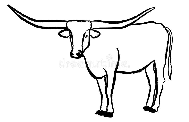 texas longhorn cattle clipart