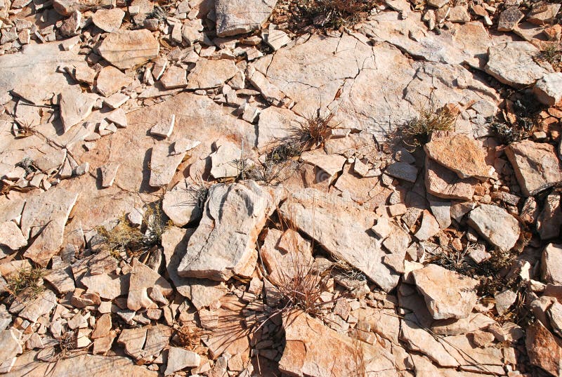 Texas rock bed in a pasture stock photos Texas rock bed in a pasture stock photos