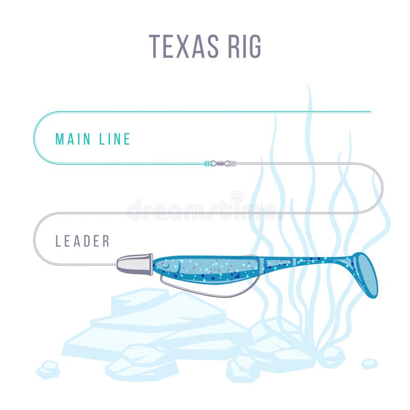 Texas Rigged Sort Plastic Bait Fishing Setup for Bass Stock Vector -  Illustration of head, predatory: 139839320