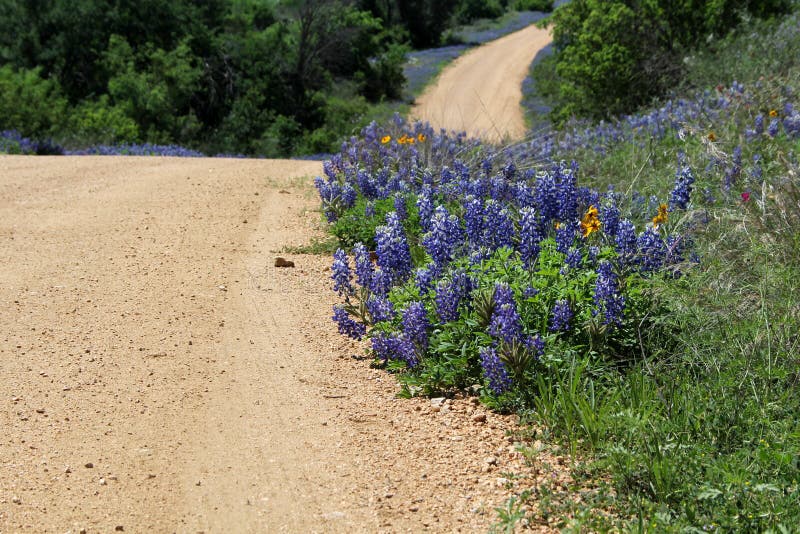 Texas Spring