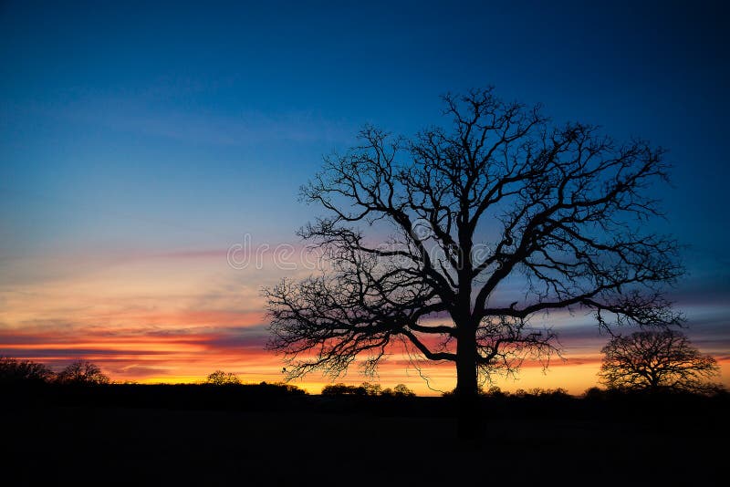 Texas winter sunset stock photo. Image of yellow, season 51567680