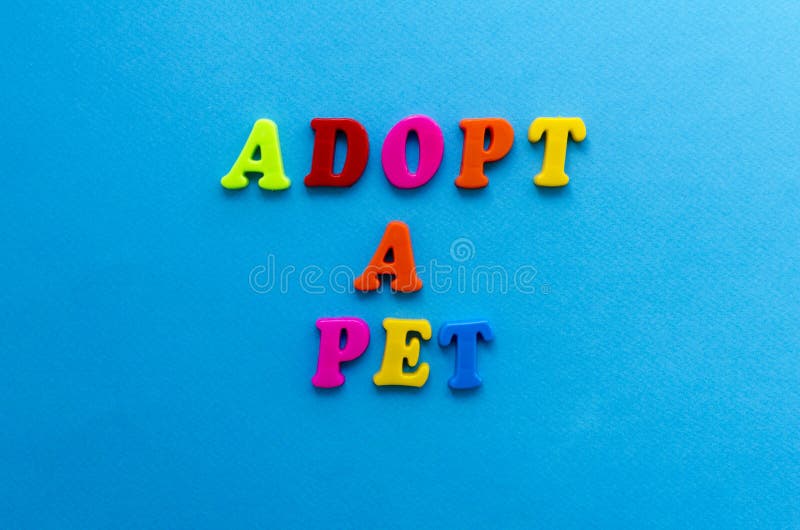 Text adopt a pet from plastic colored letters on blue paper background stock image