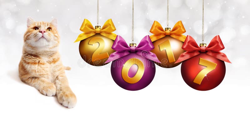 2017 Text Ginger Cat with Christmas Balls with Ribbon Stock Image