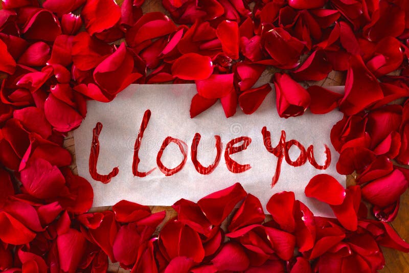 1 537 I Love You Rose Photos Free Royalty Free Stock Photos From Dreamstime