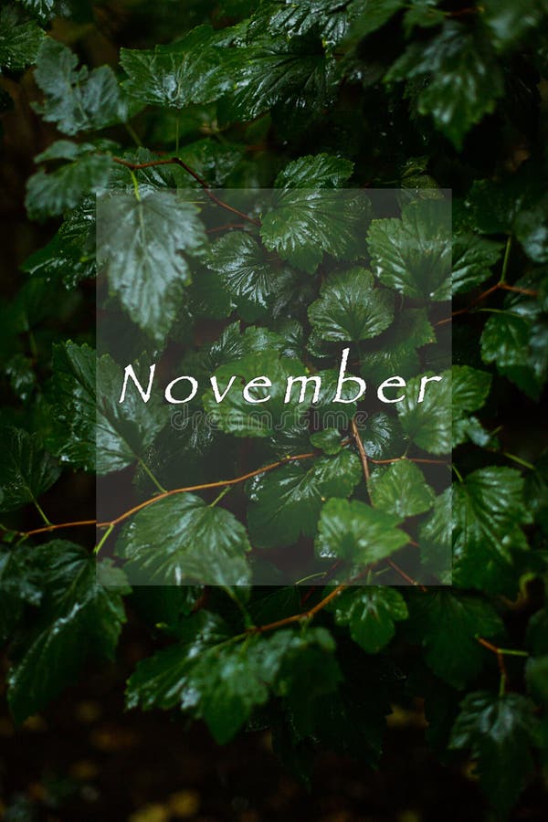November Wallpaper Images  Free Download on Freepik