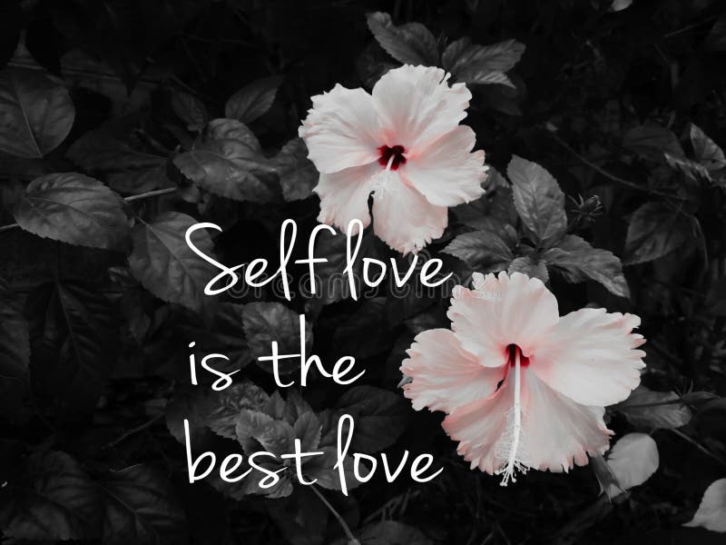 Short Message Saying Self Love is the Best Love, Hibiscus. Stock Image ...
