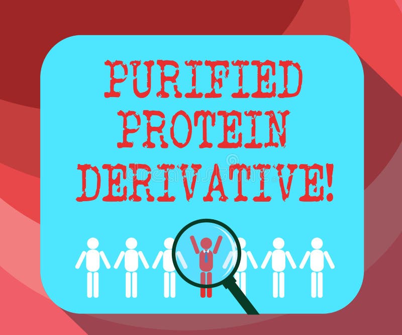 Text Sign Showing Purified Protein Derivative. Conceptual Photo the ...