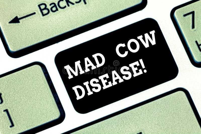 Texte d'écriture écrivant la maladie de la vache folle Concept signifiant la viande contagieuse de consommation de la maladie mor photographie stock libre de droits Texte d'écriture écrivant la maladie de la vache folle Concept signifiant la viande contagieuse de consommation de la maladie mor photographie stock libre de droits